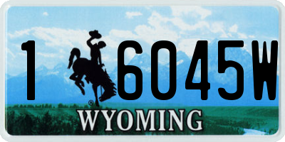 WY license plate 16045W