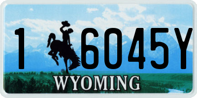 WY license plate 16045Y