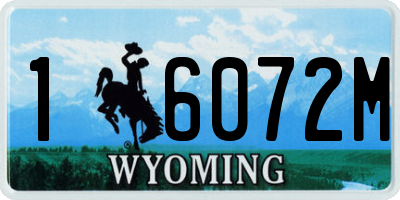 WY license plate 16072M