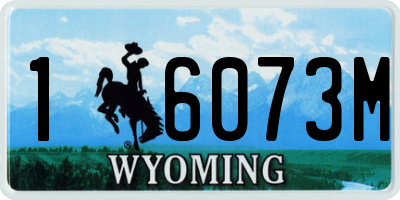 WY license plate 16073M