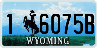 WY license plate 16075B