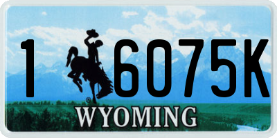 WY license plate 16075K