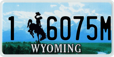 WY license plate 16075M