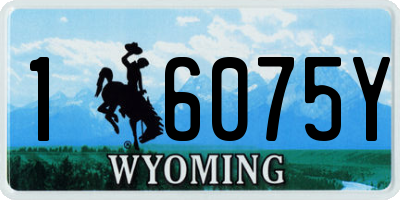 WY license plate 16075Y