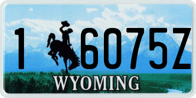 WY license plate 16075Z