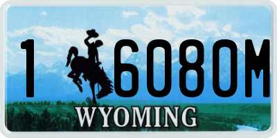 WY license plate 16080M