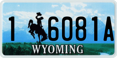 WY license plate 16081A