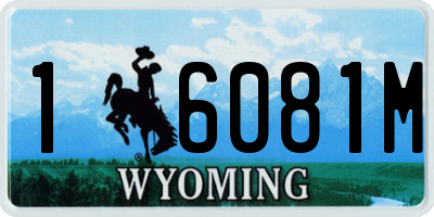 WY license plate 16081M