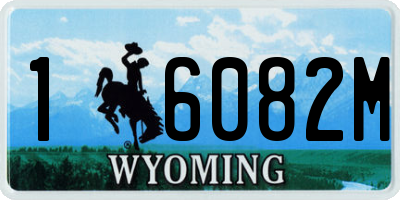 WY license plate 16082M