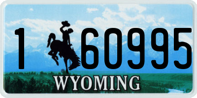 WY license plate 160995