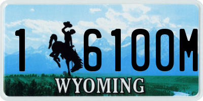 WY license plate 16100M