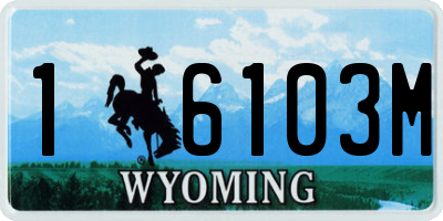 WY license plate 16103M