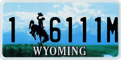 WY license plate 16111M