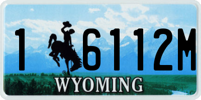 WY license plate 16112M