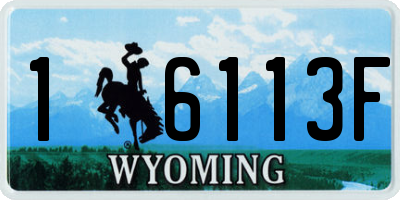 WY license plate 16113F