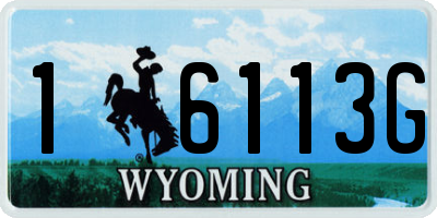 WY license plate 16113G