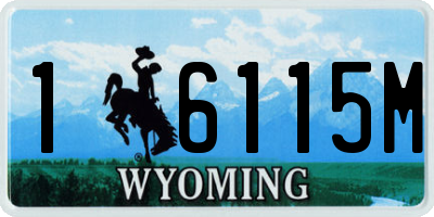 WY license plate 16115M