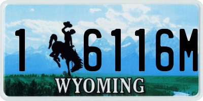 WY license plate 16116M