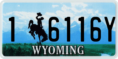 WY license plate 16116Y