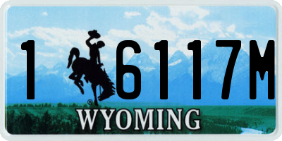 WY license plate 16117M