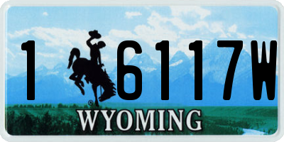 WY license plate 16117W