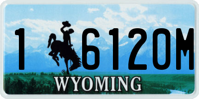 WY license plate 16120M
