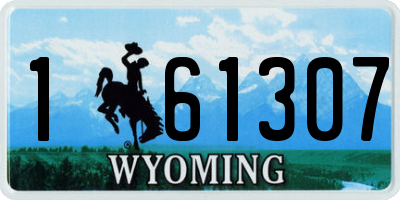 WY license plate 161307