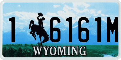 WY license plate 16161M