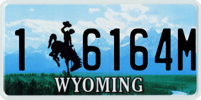 WY license plate 16164M