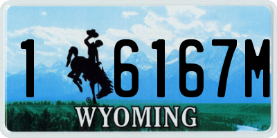 WY license plate 16167M