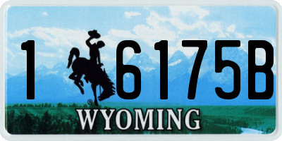 WY license plate 16175B