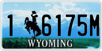 WY license plate 16175M