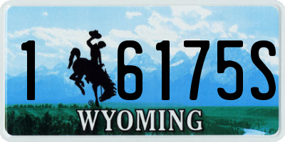 WY license plate 16175S