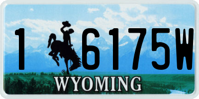 WY license plate 16175W