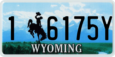 WY license plate 16175Y