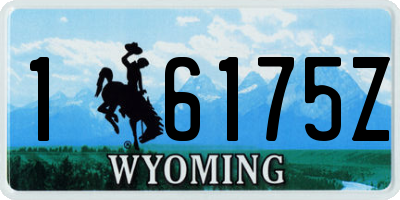 WY license plate 16175Z