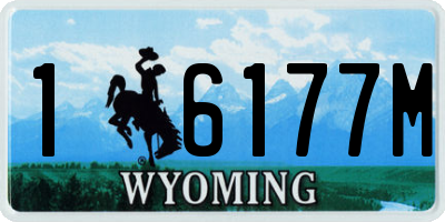 WY license plate 16177M