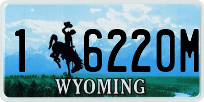 WY license plate 16220M