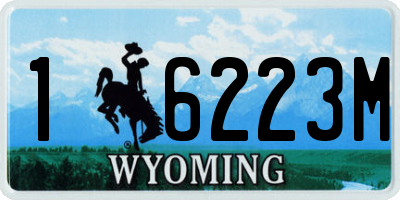 WY license plate 16223M