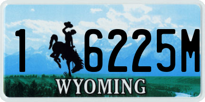 WY license plate 16225M