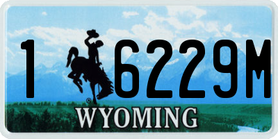WY license plate 16229M