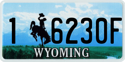 WY license plate 16230F