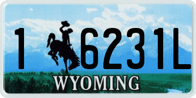 WY license plate 16231L
