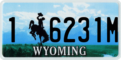 WY license plate 16231M
