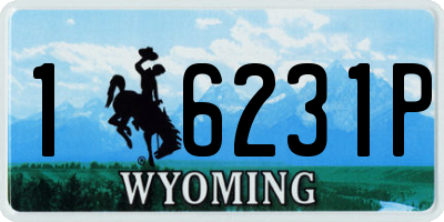 WY license plate 16231P