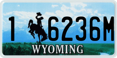WY license plate 16236M