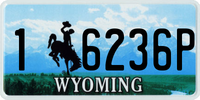 WY license plate 16236P