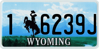 WY license plate 16239J