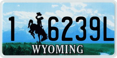 WY license plate 16239L