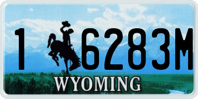 WY license plate 16283M